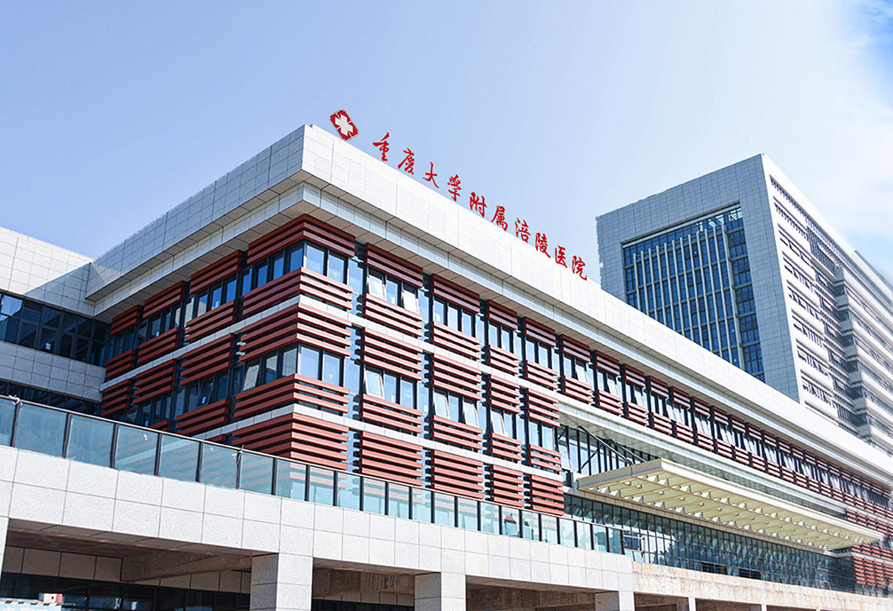 重庆市医疗健康全球门户 跨界整合与精准服务的数字化典范